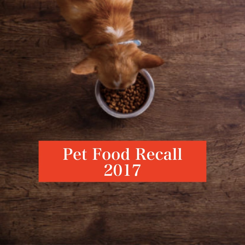 pet food recall.001 hellodog
