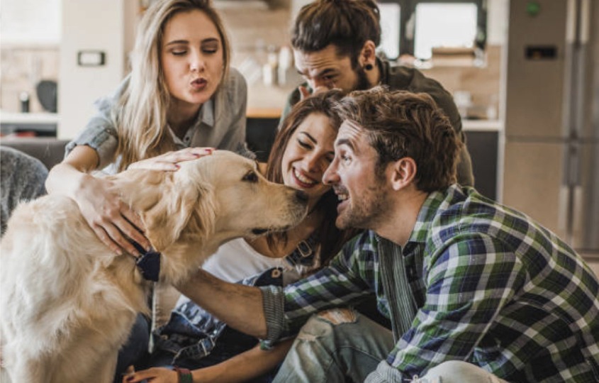 sharing is caring 中文