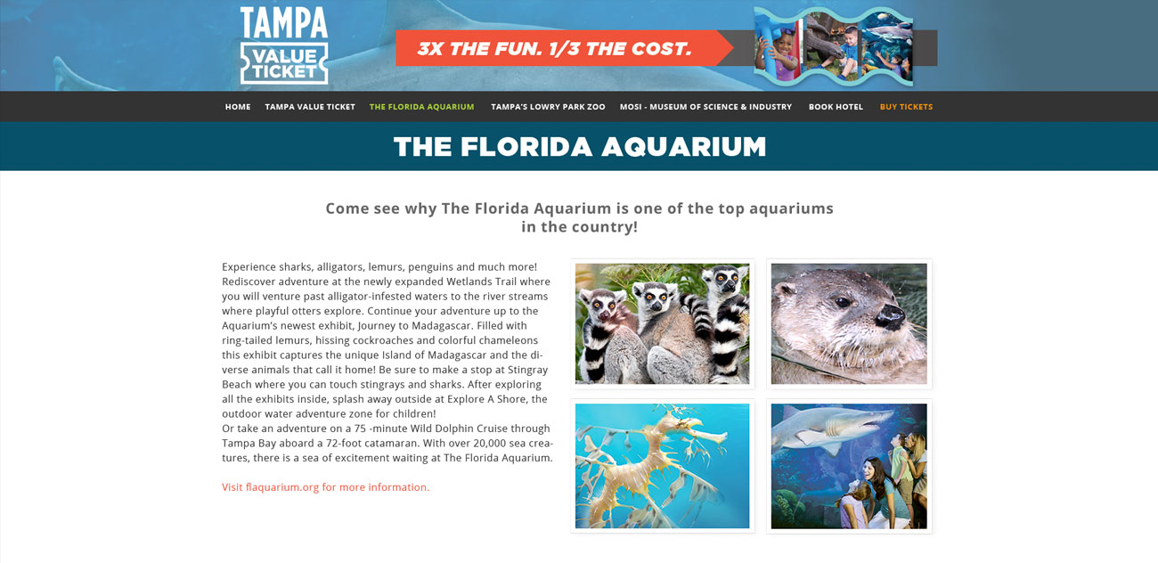 Tampa Zoo Hello Interactive