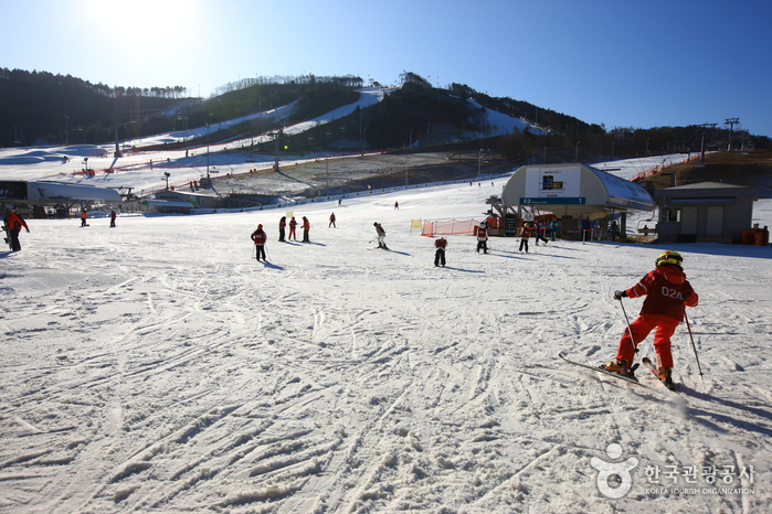 Best Ski Resorts To Visit In Gangwon Province This Winter