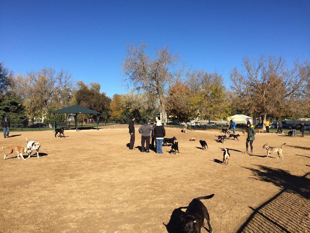 The Best Dog Parks in Denver Your Dog Will Love Landing