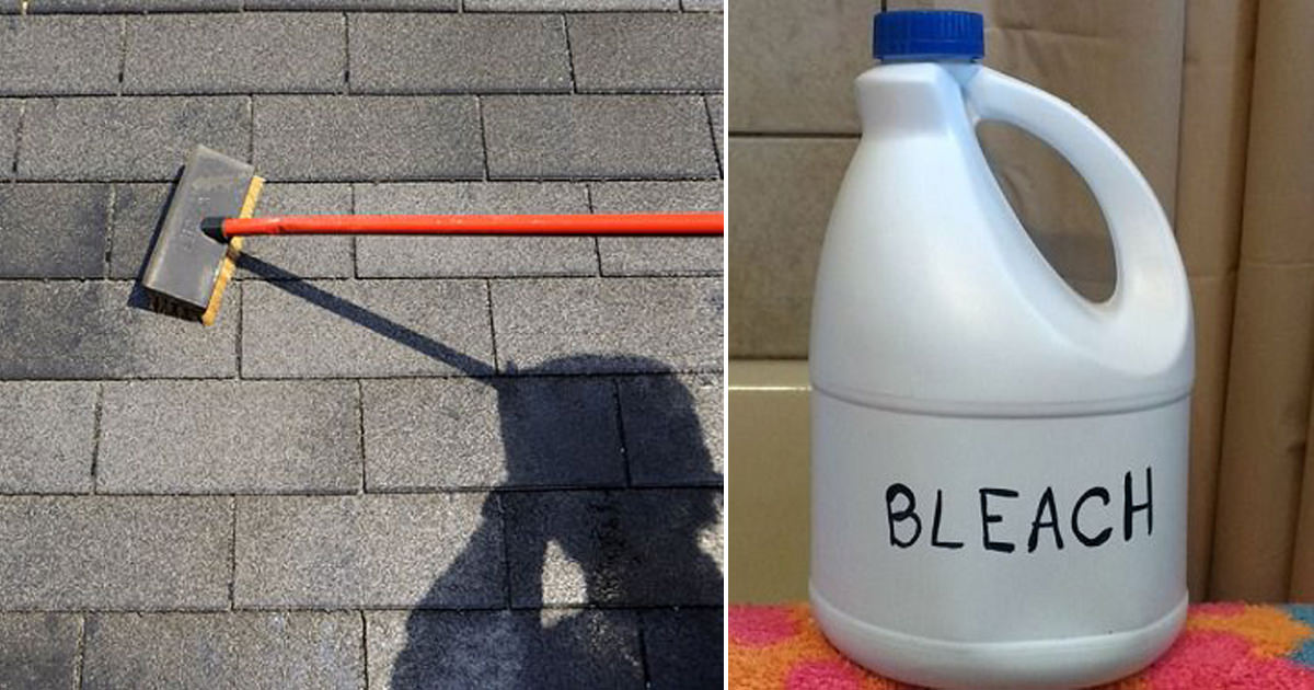 How to Clean Roof Shingles With Bleach Hello Lidy