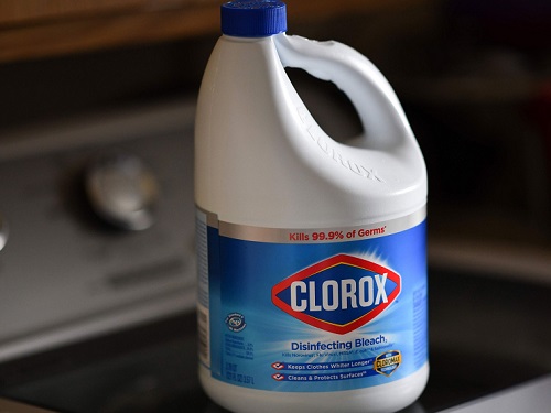 Does Hydrogen Peroxide Kill Mold Hello Lidy