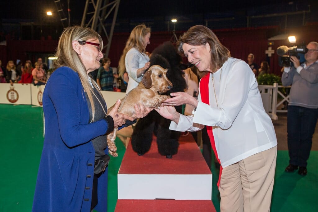 91st Monaco International Dog Show topclass dogs on a prestigious