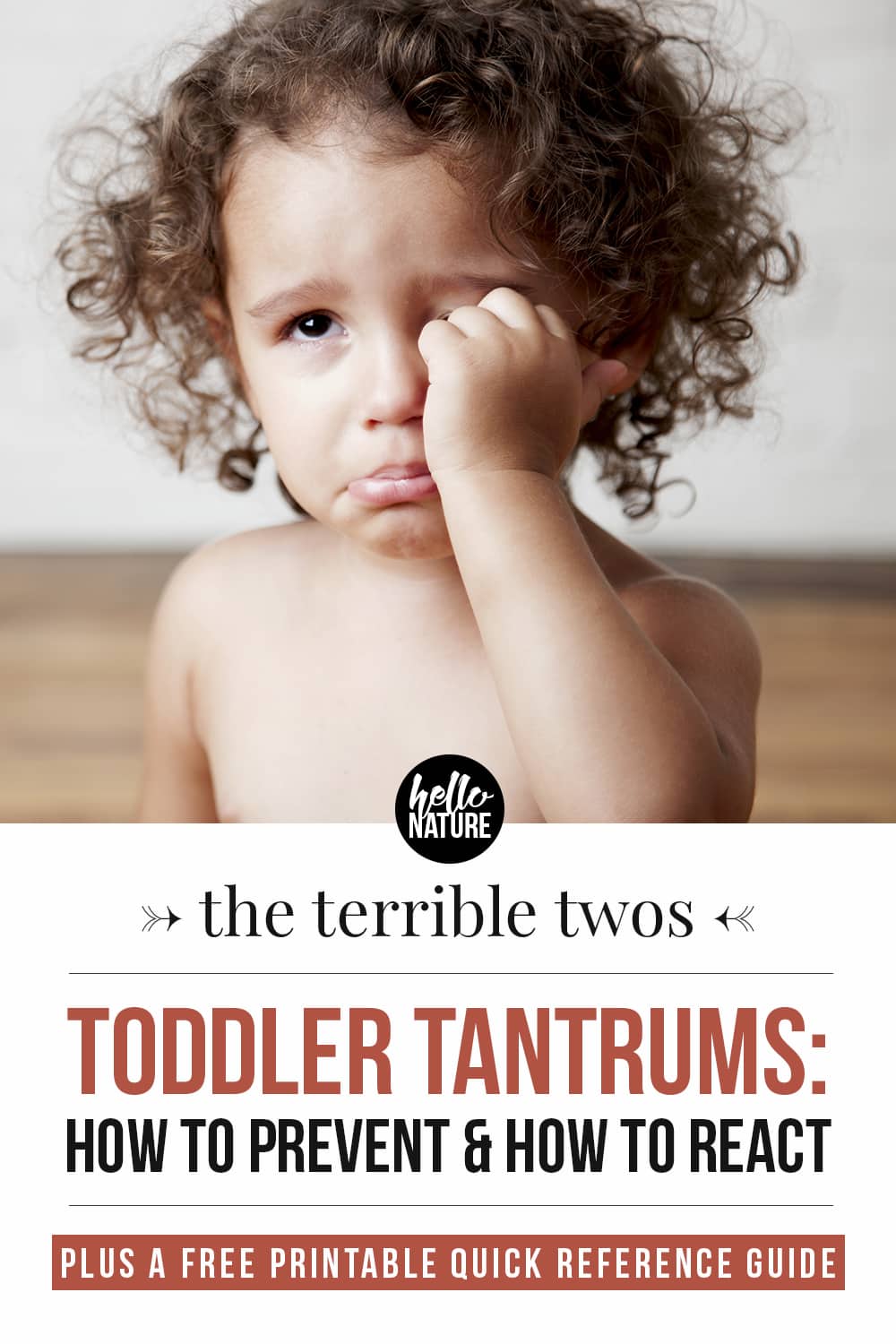Toddler Tantrums How to Prevent, How to React and When to Worry