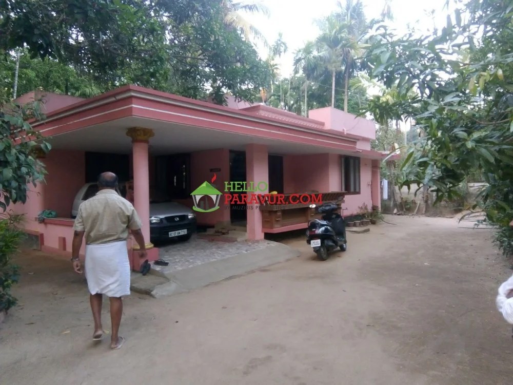 3BHK house with 7.75 cent land for sale at Parayakad 30 Lakhs House
