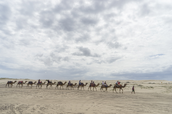 A ride in one of the capsules takes you up to 135 metres and lasts 30 minutes during which time you will get an amazing panoramic view of london. Port Stephens Camel Riding: All You Need To Know