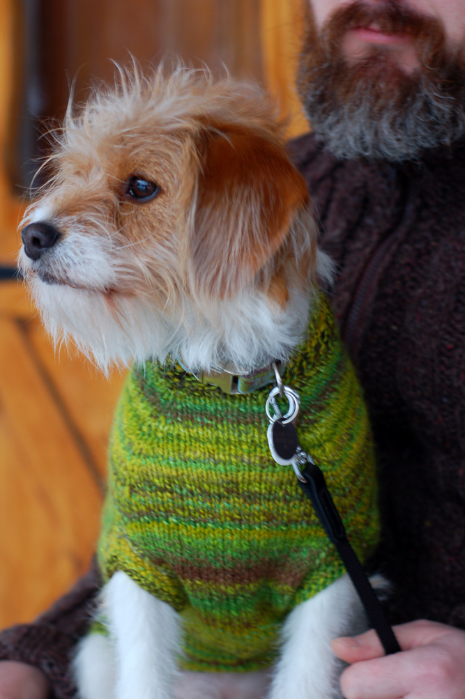 Dog Sweaters Hello Yarn