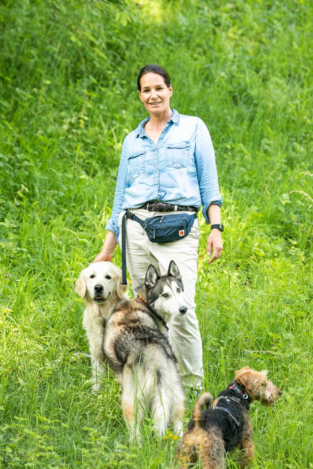 What Does Dog Sitting Involve