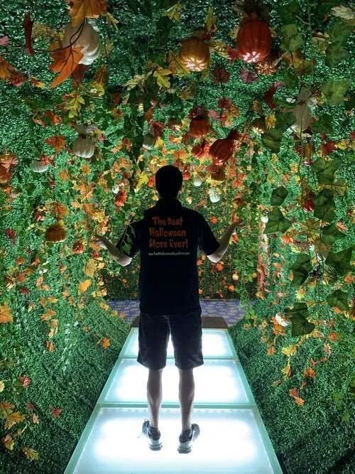 The Best Halloween Store Ever Hellscape Haunted Houses