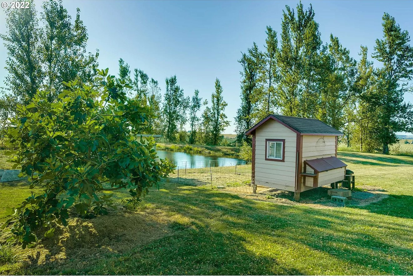 House Information Oregon Vineyard For Sale Willamette Valley