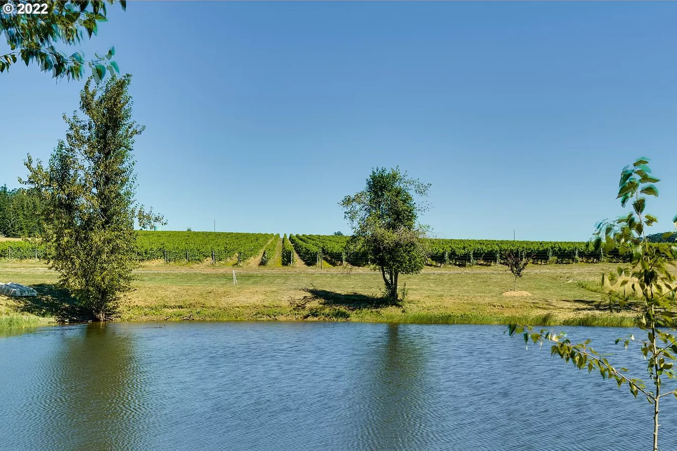 House Information Oregon Vineyard For Sale Willamette Valley