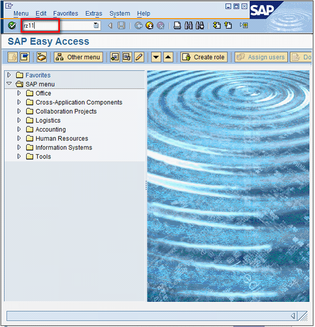 How to enable scripting in SAP?