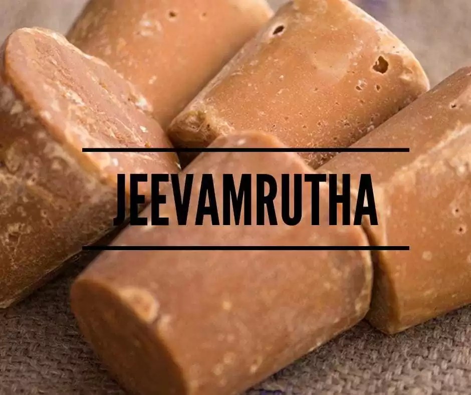 Jeevamrutha Helpfarming