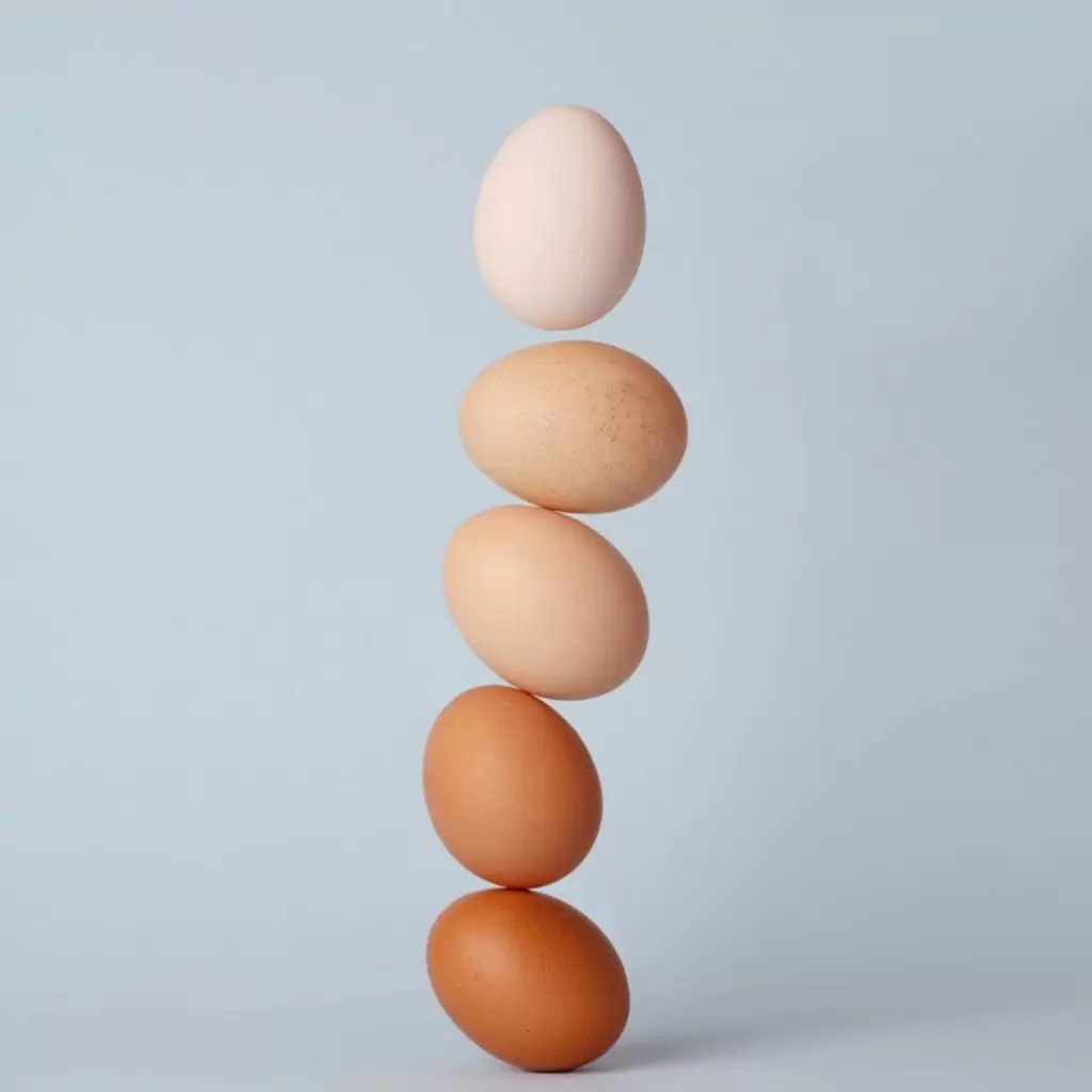 Egg Amino Acid Helpfarming