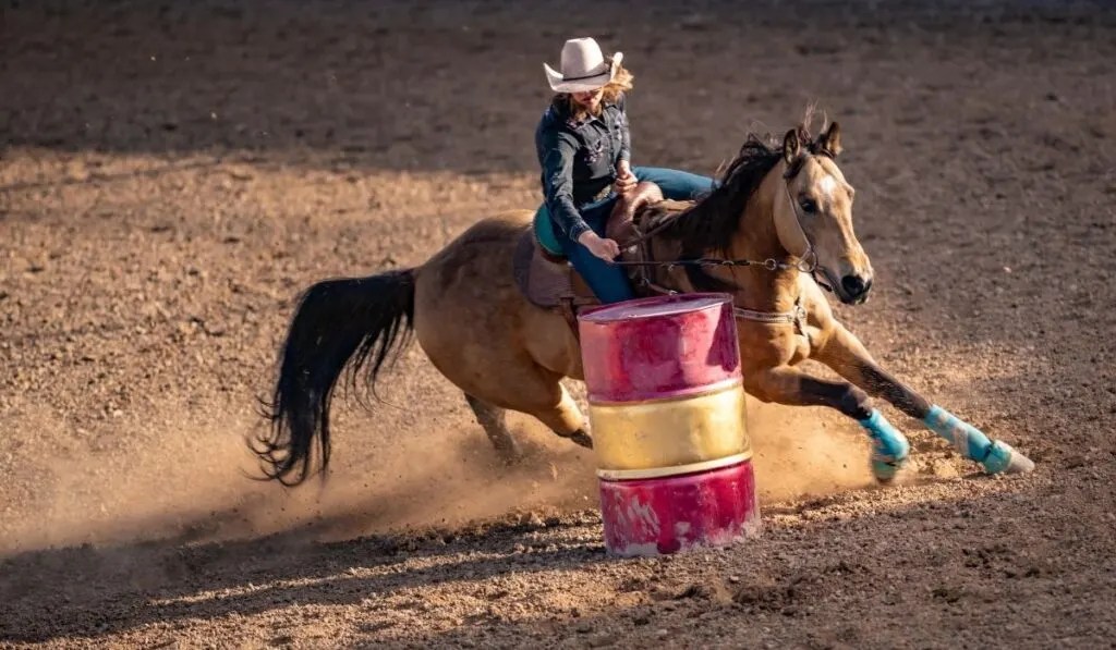 Can Gaited Horses Barrel Race? Helpful Horse Hints