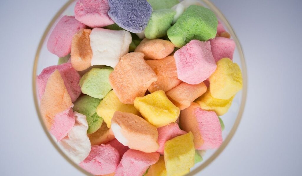 Can Horses Eat Marshmallows? Helpful Horse Hints