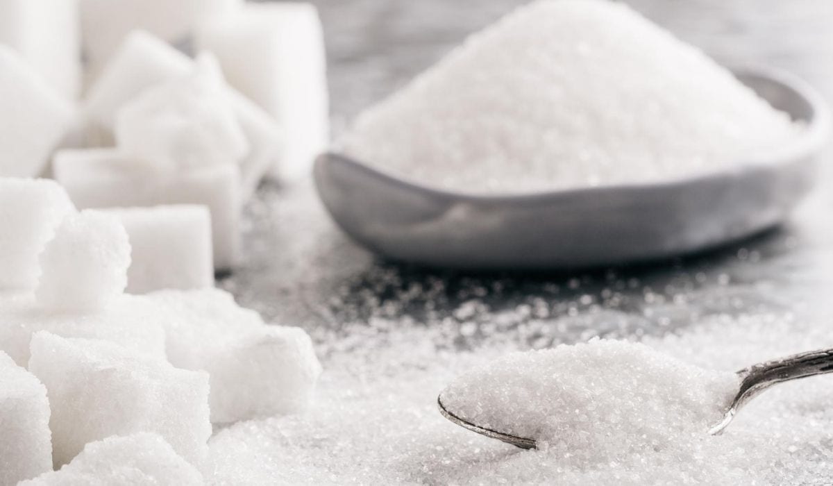 Do Horses Eat Sugar Cubes Helpful Horse Hints