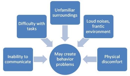 Alzheimer’s and Dementia Behavior Management