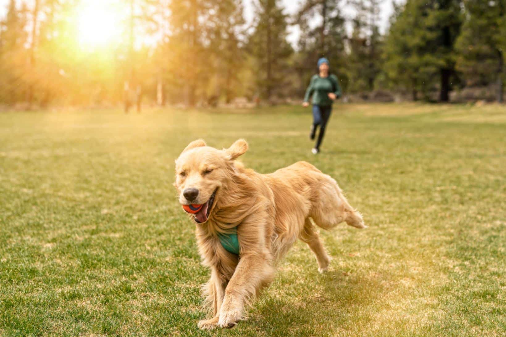 The Benefits of Play for Adults