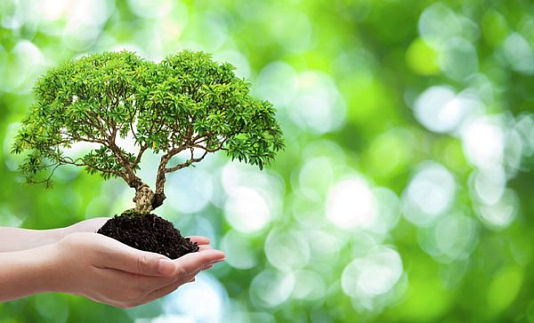 Environmental Science Degree Programs in the USA 2021