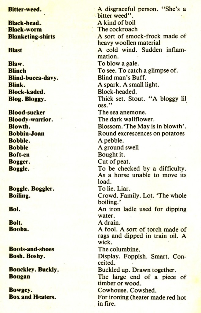 CORNISH DIALECT WORDS B HELSTON HISTORY