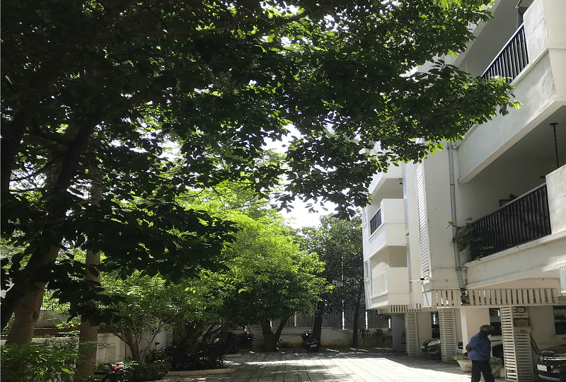 Residential Apartment on Rent in Chennai, Mylapore Hemdevs