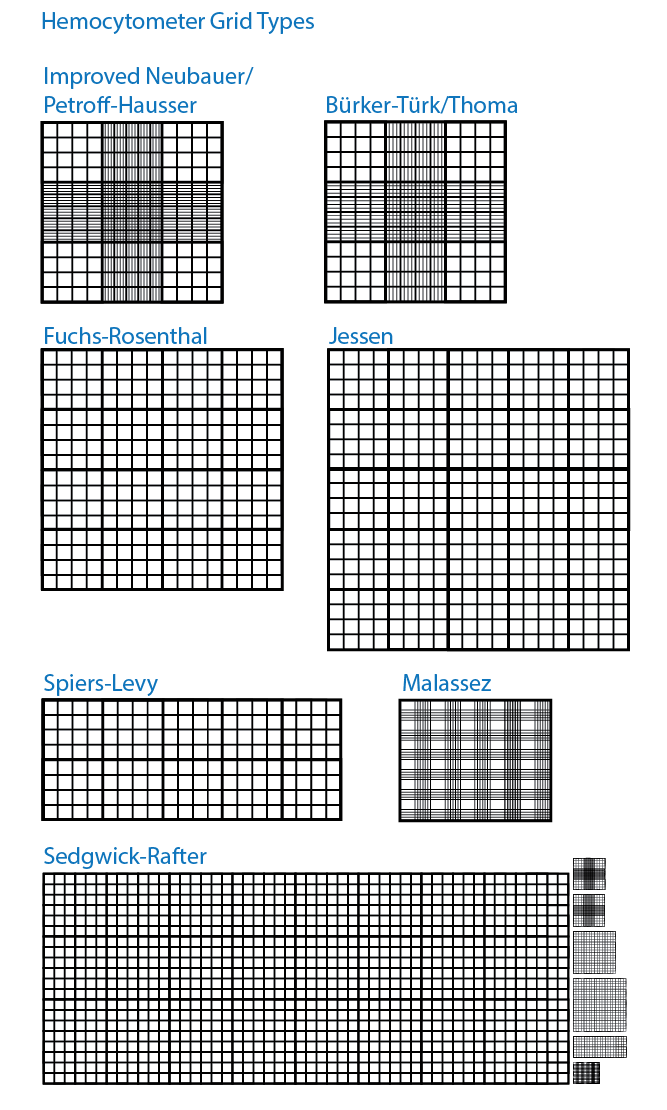Hemocytometer grid types • Hemocytometer