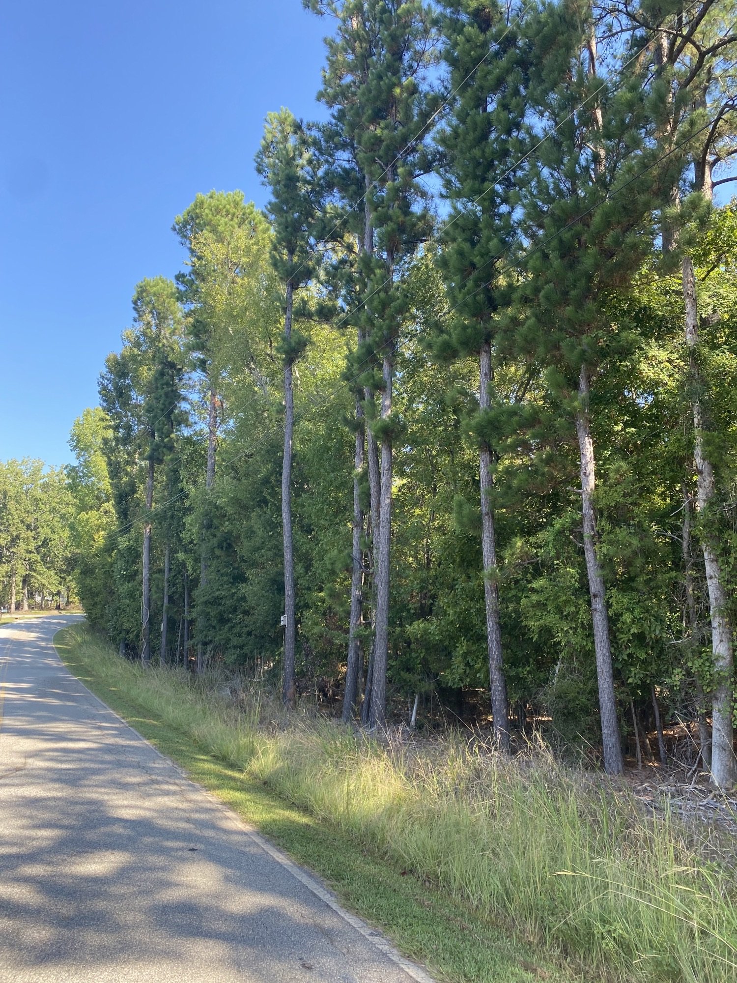 Newberry Shores Lot 24 Henderson and Associates
