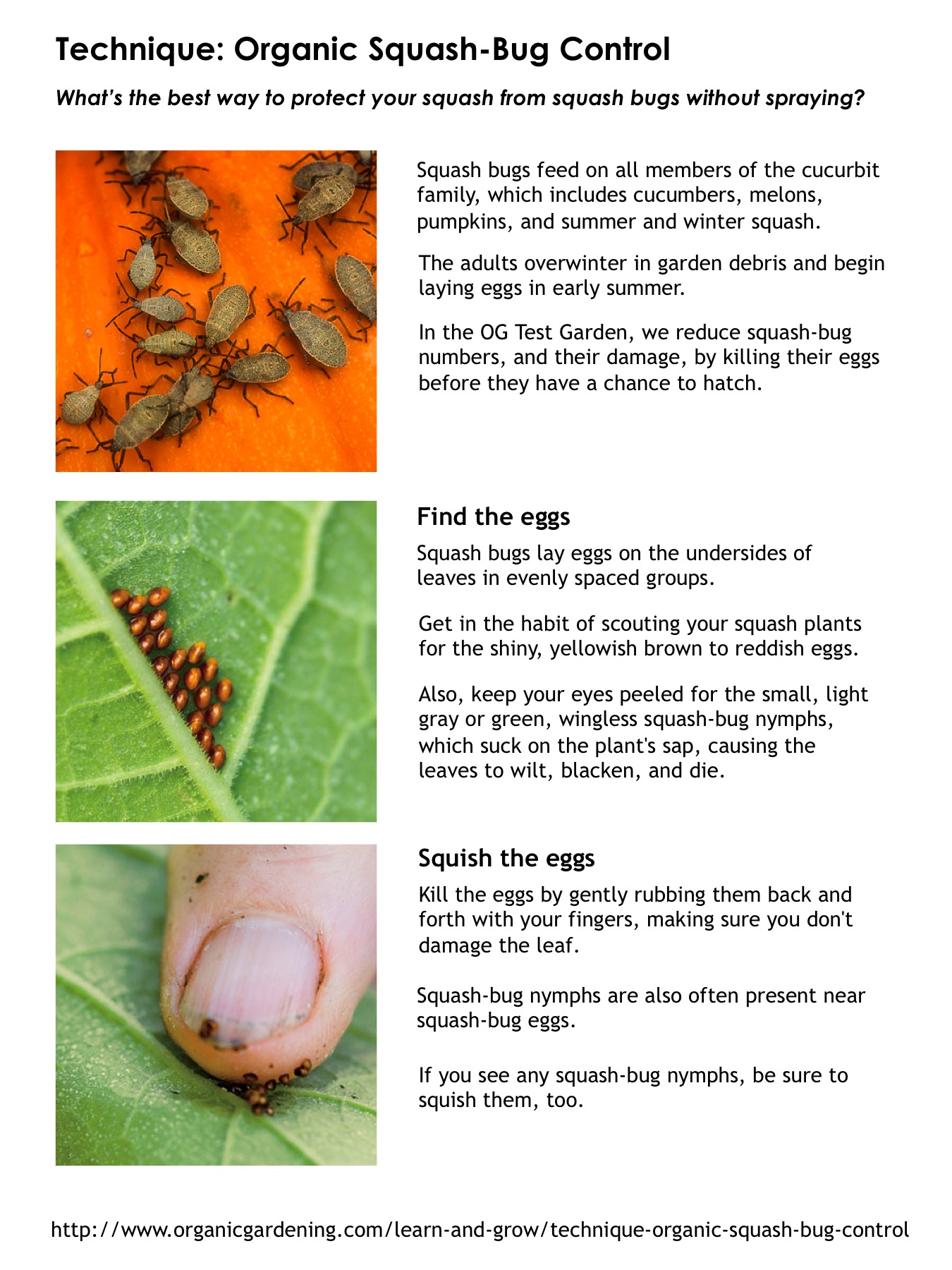 Learn Henderson Park Community Garden