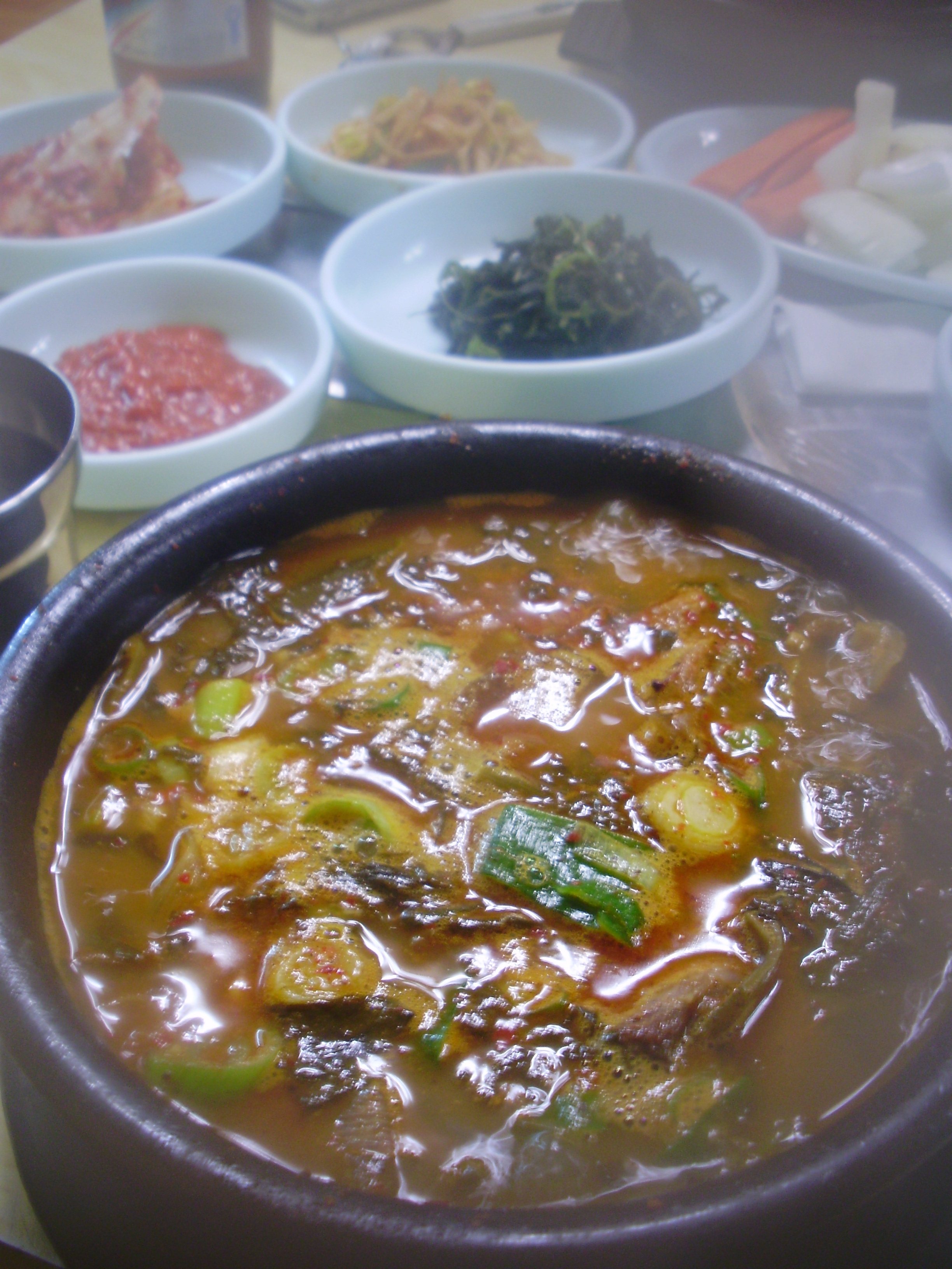 Dog Meat Soup James Hendicott