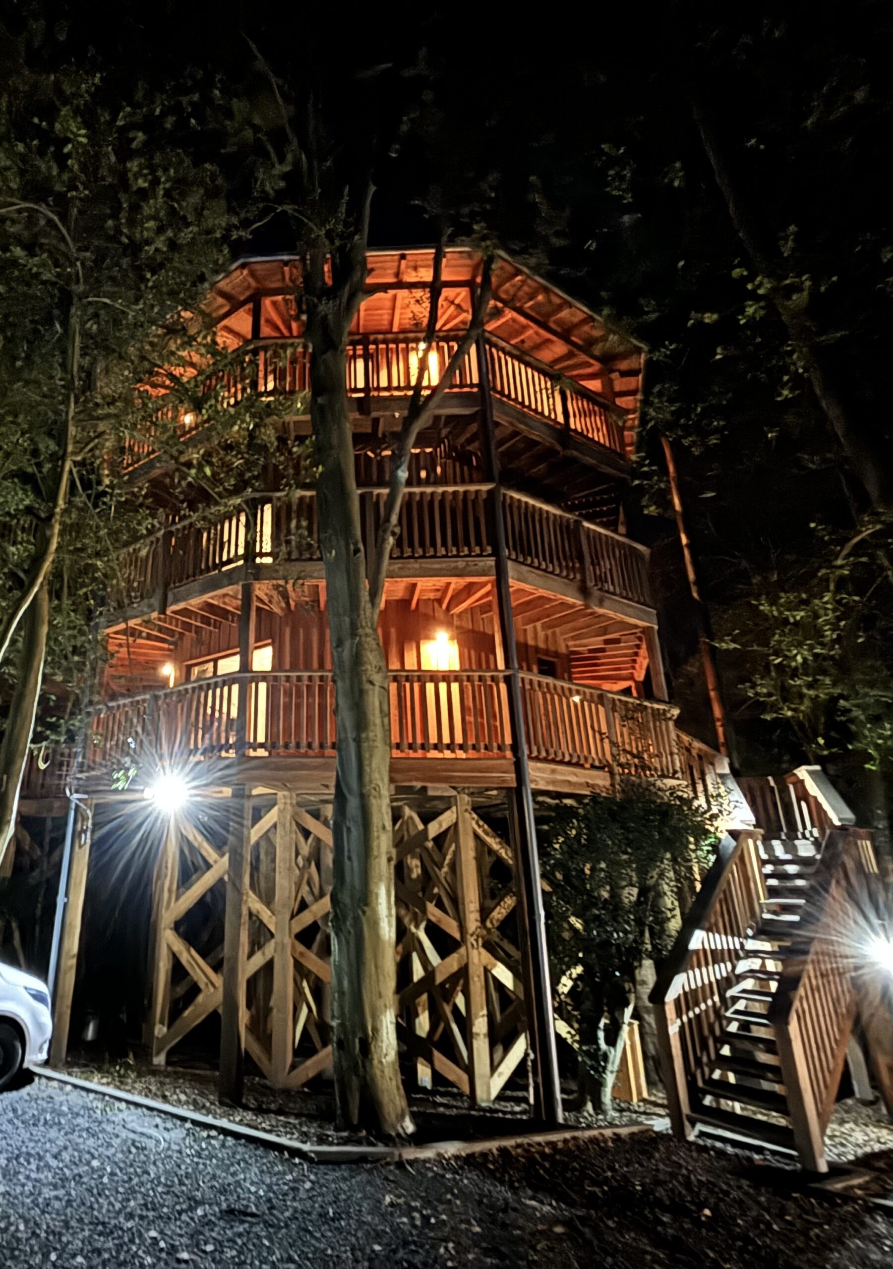 Tree Tops Henlle Hall