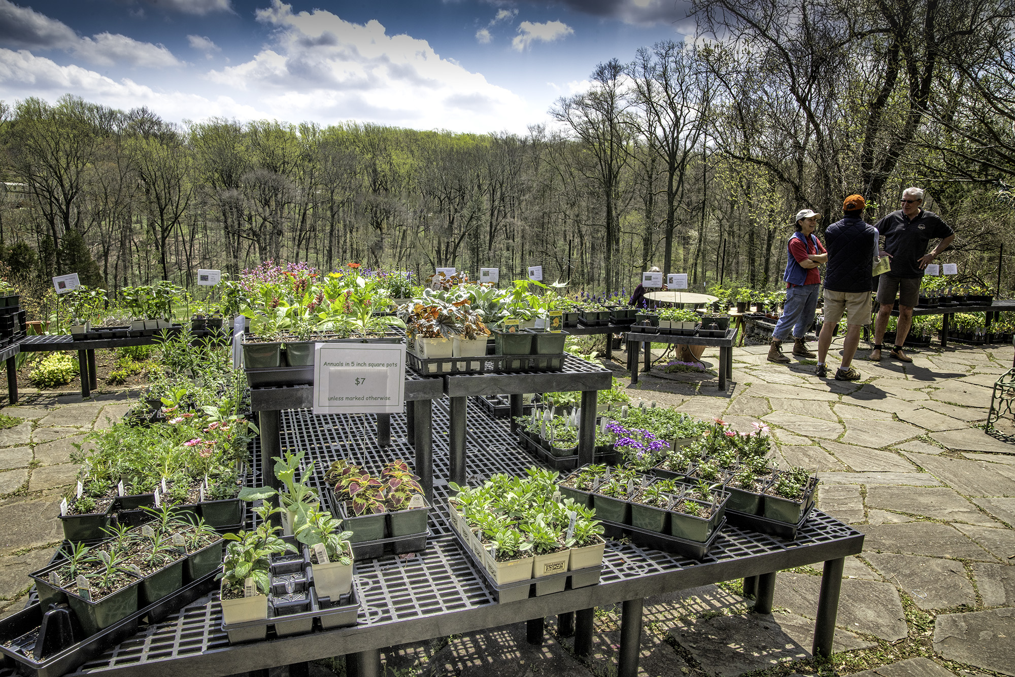 Henry Plant sale was a success. Thank you! Henry Botanic Garden