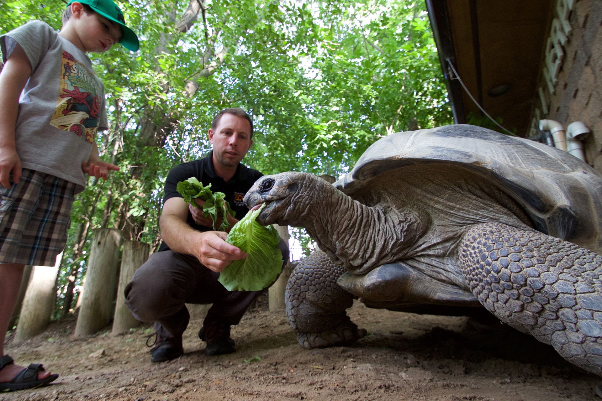 Work at the Zoo Zoo Jobs Henry Vilas Zoo