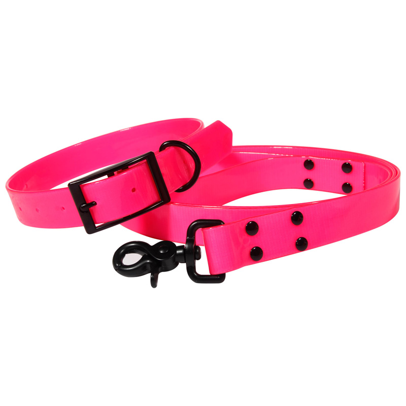 Hunting accessories for the waterproof dog collar and leash Dongguan
