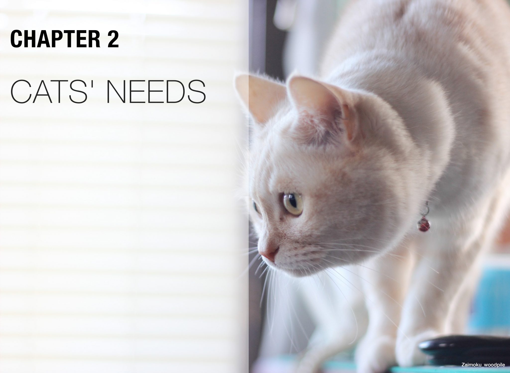 Hepper Happy Cats_v2.4 JC .pdf Hepper