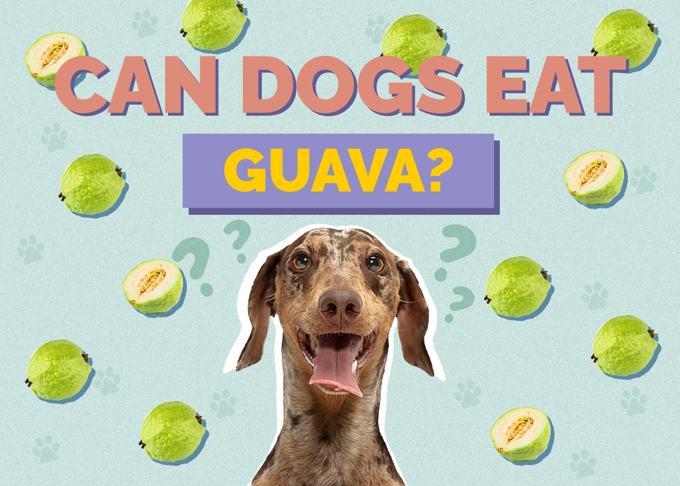 Can Dogs Eat Guava? Nutrition Facts & Safety Guide Hepper