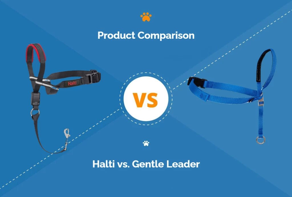 Halti vs Gentle Leader Pros, Cons & Verdict (2024 Update) Hepper