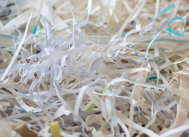 Can You Use Shredded Paper As Cat Litter Make Your Own Zero Waste how