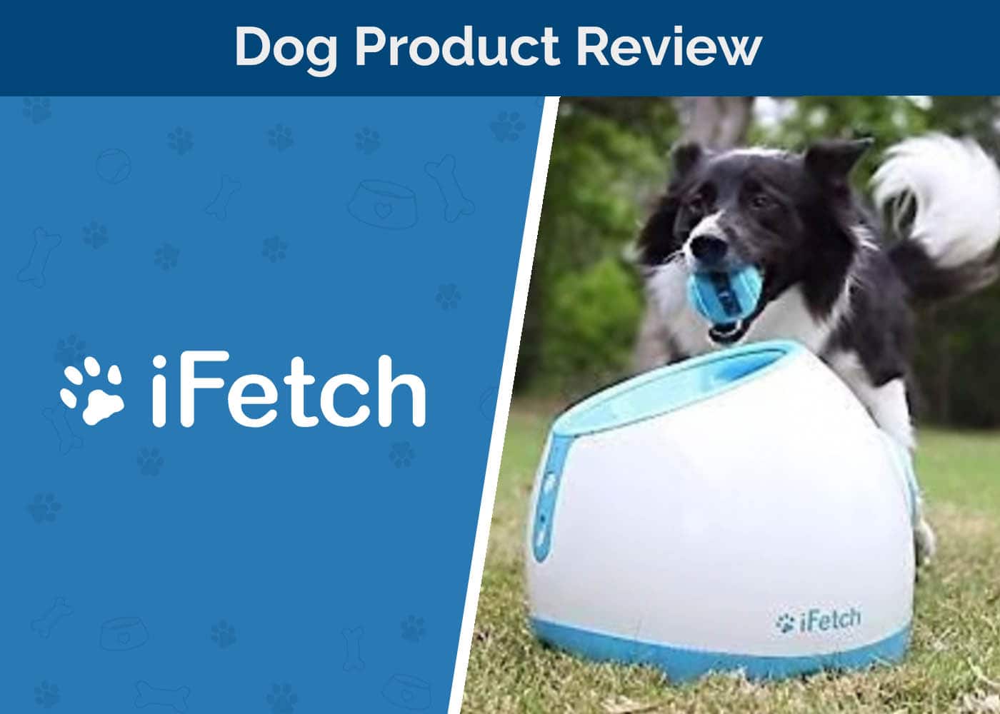 iFetch Interactive Dog Ball Launcher Review 2024 Pros, Cons & Verdict Hepper
