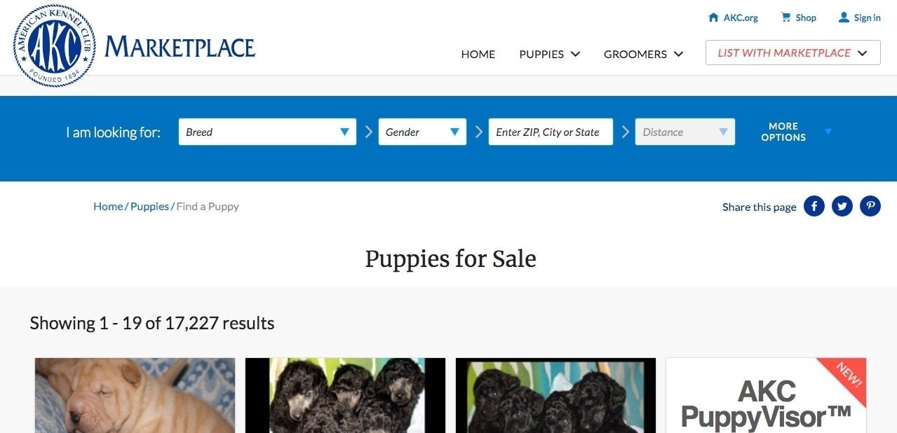 Can You Sell Puppies On Facebook Marketplace