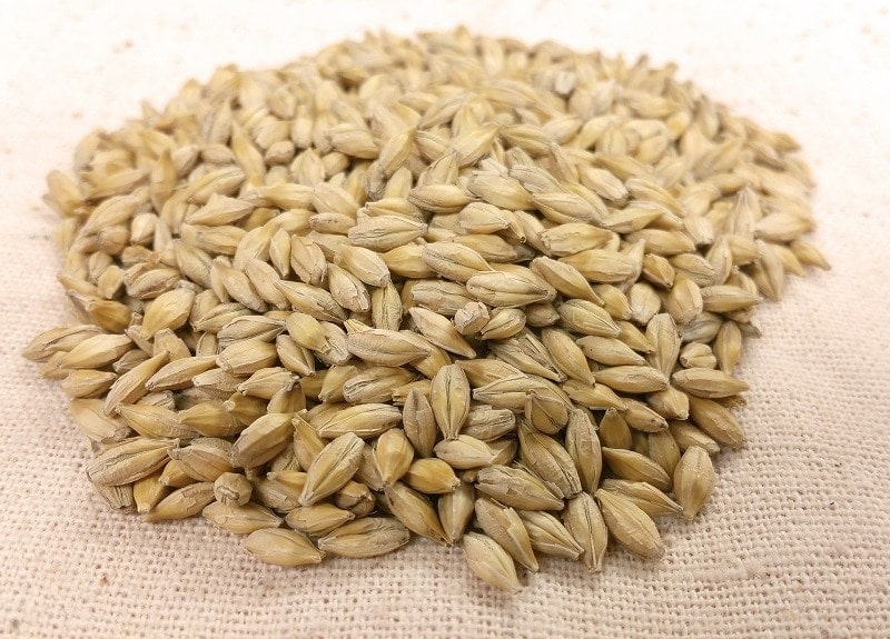 Are Oats And Barley Good For Dogs