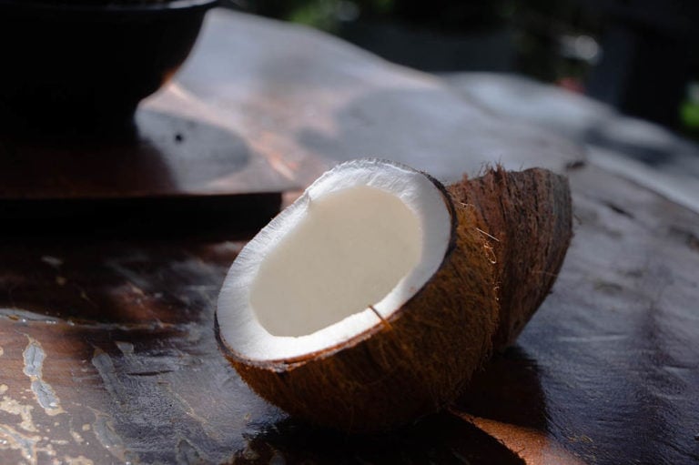 Can Dogs Eat Coconut? Is Coconut Safe for Dogs? Hepper