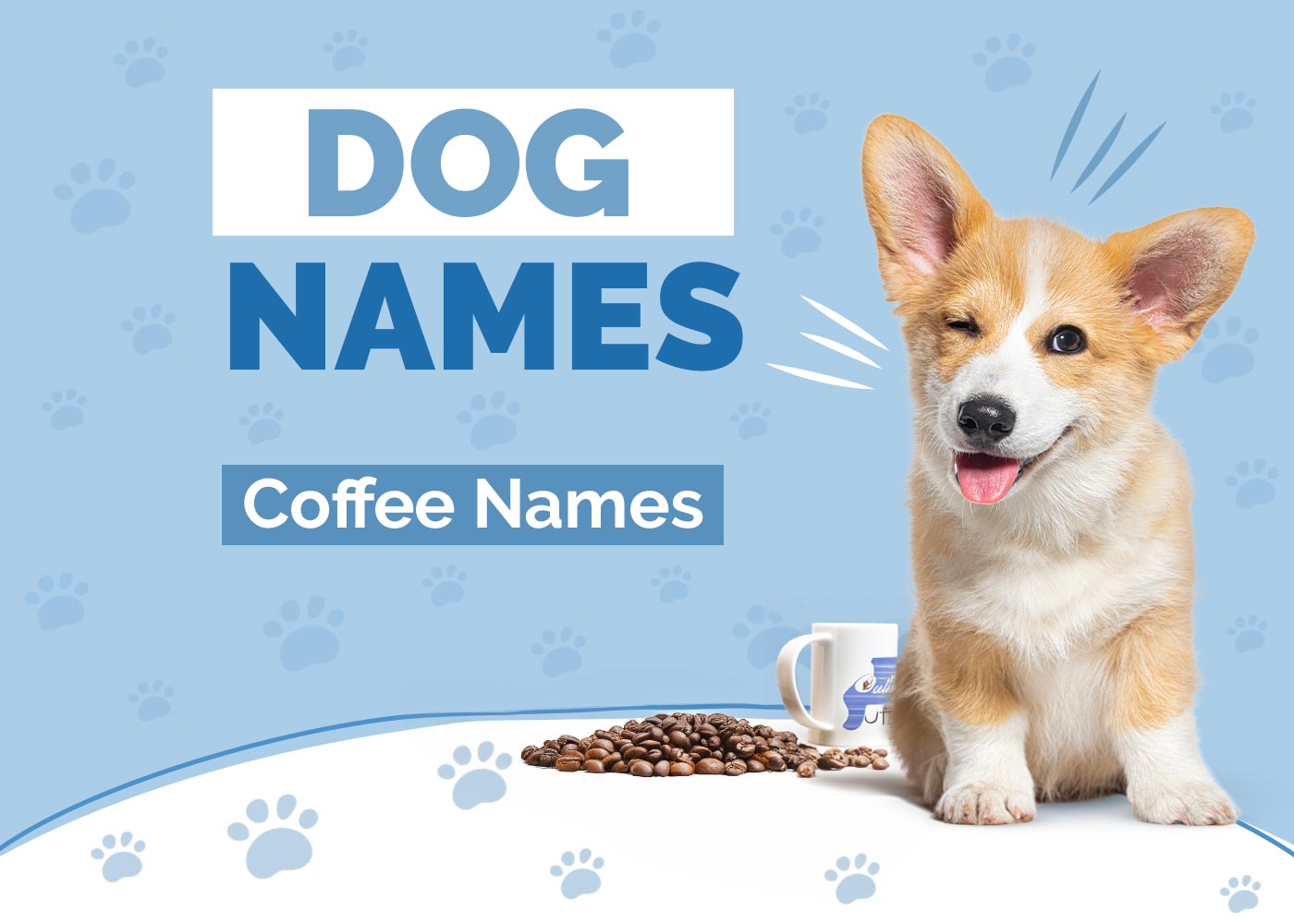 52 Coffee Dog Names Unique Options For Your Pup Hepper