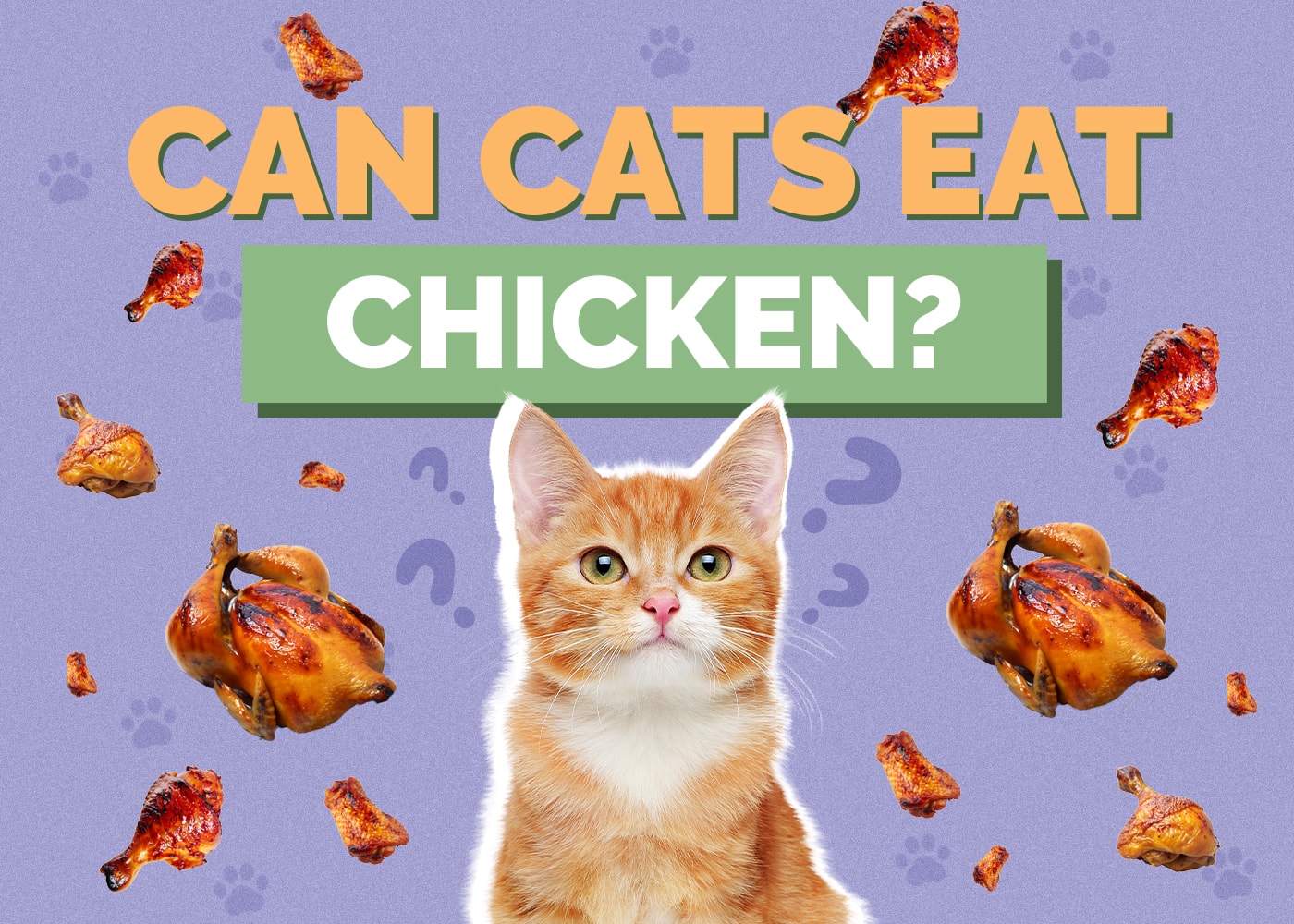 Can Cats Eat Chicken? VetApproved Nutrition Facts & FAQ Hepper