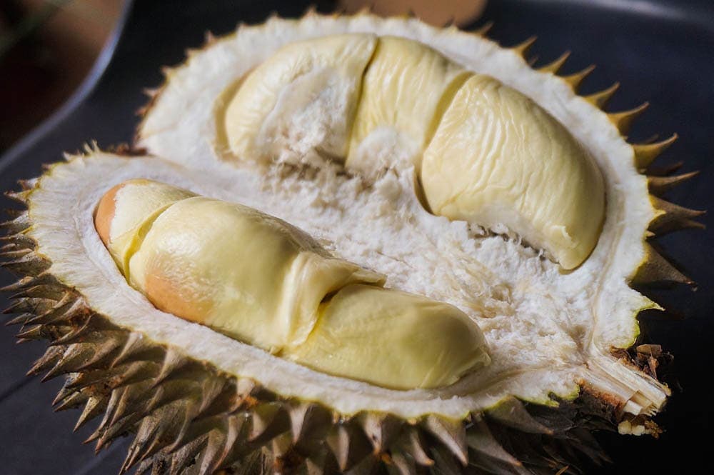 Can Dogs Eat Durian? VetApproved Benefits & Risks Hepper