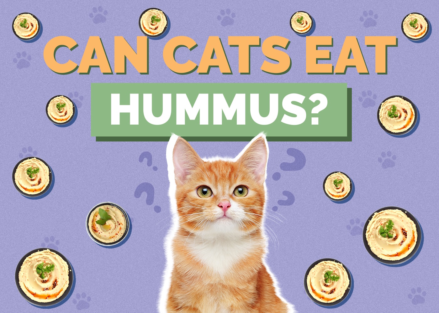 Can Cats Eat Hummus? Nutritional Facts & Safety Guide Hepper