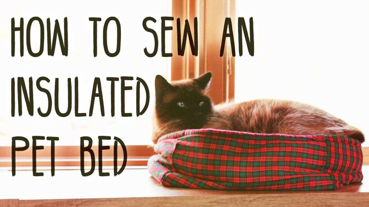 3 DIY SelfWarming Cat Beds You Can Make Today (With Pictures) Hepper