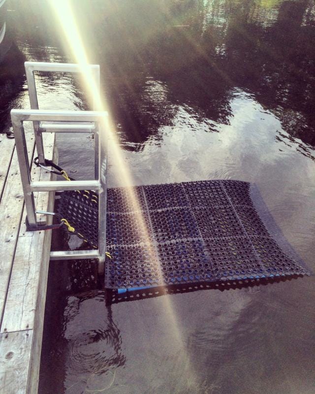 10 DIY Dog Water Ramp Plans You Can Make Today (With Pictures) Hepper