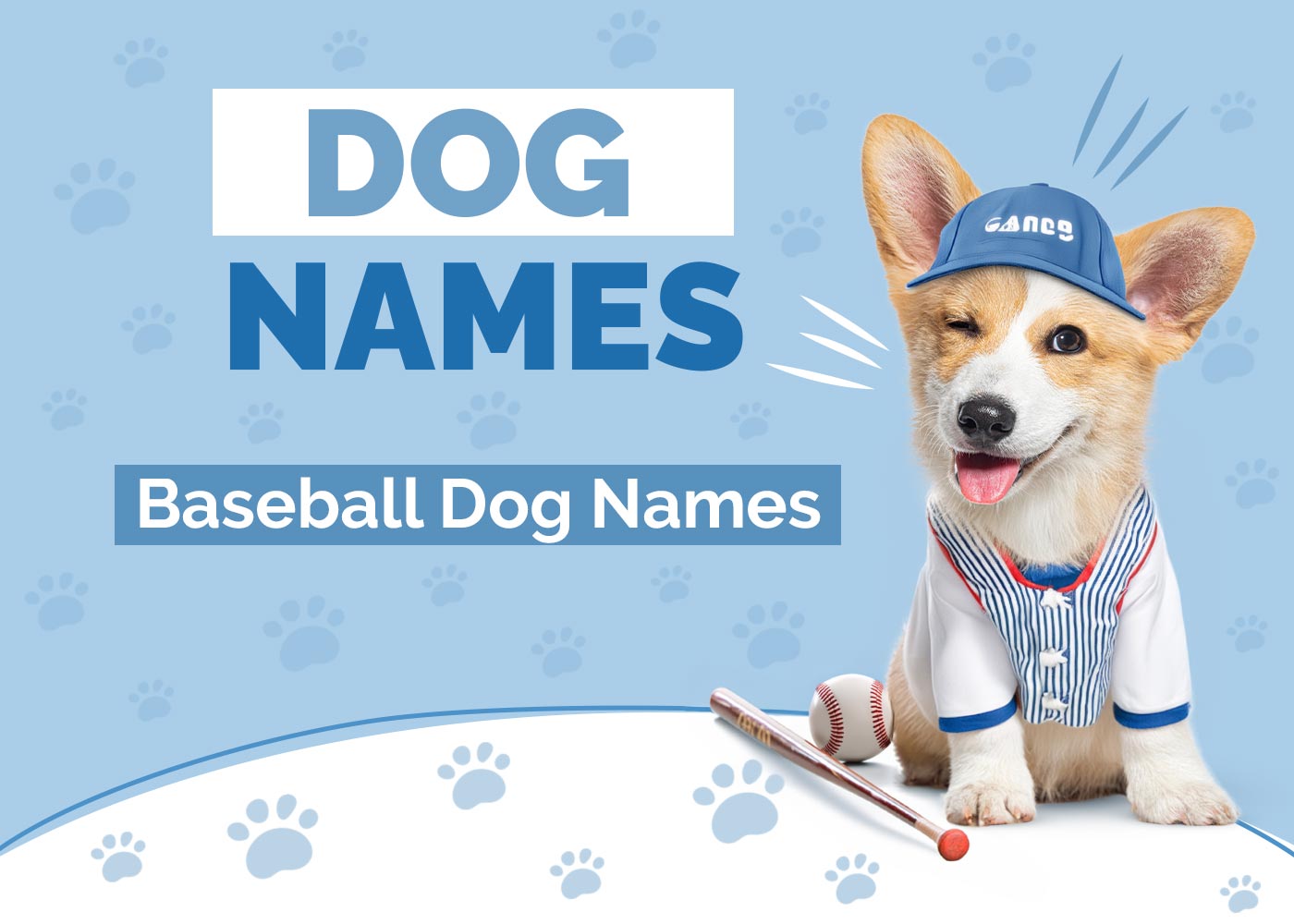 100+ Baseball Dog Names Ideas for Home Running Dogs Hepper